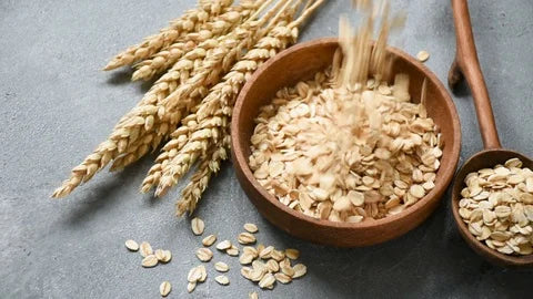 10 Reasons Why Oats Should Be Your Go-To Morning Meal