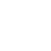 Portable